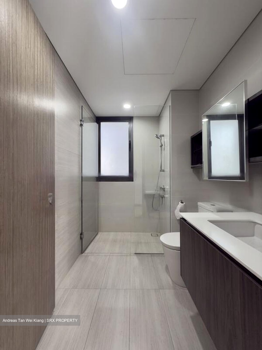 Lakeville (D22), Condominium #569703711